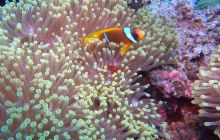 Safari St. johns - październik 2010