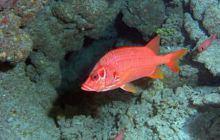 Safari St. johns - październik 2010