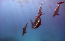 Safari St. johns - październik 2010