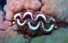 Safari St. johns - październik 2010