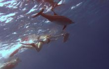 Safari St. johns - październik 2010