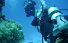 MarsaAlam - listopad 2010