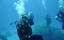 MarsaAlam - listopad 2010