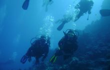 MarsaAlam - listopad 2010