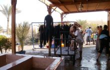 MarsaAlam - listopad 2010