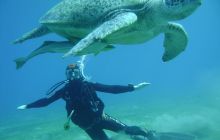 MarsaAlam - listopad 2010