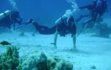 MarsaAlam - listopad 2010