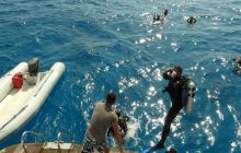 MarsaAlam - listopad 2010