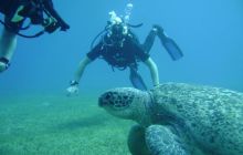 MarsaAlam - listopad 2010