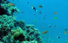 Egipt Sharm - Listopad 2004