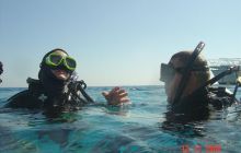 Egipt Sharm - Listopad 2004