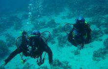 Egipt Sharm - Listopad 2004