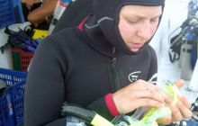 Egipt Sharm - Listopad 2004