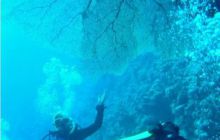 Egipt Sharm - Listopad 2004