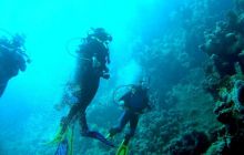 Egipt Sharm - Listopad 2004