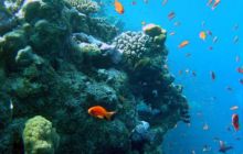 Egipt Sharm - Listopad 2004