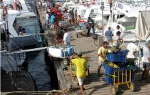 Egipt Sharm - Listopad 2004