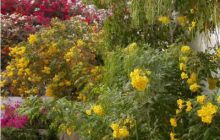 Egipt Sharm - Listopad 2004