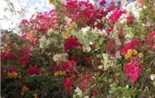 Egipt Sharm - Listopad 2004