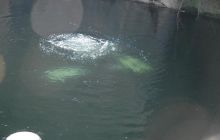 Kamieniołomy - listopad 2010