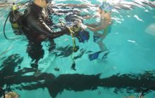 Pierwsze zajęcia Scuba Rangers dla dzieci