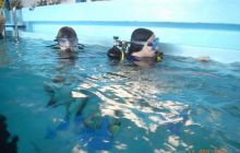 Pierwsze zajęcia Scuba Rangers dla dzieci