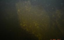 Borne Sulinowo - maj 2011