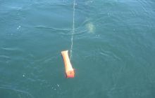 Kurs Wrakowy - 22 maj 2011