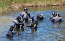 Spływ Piaśnicą - maj 2011