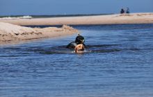 Spływ Piaśnicą - maj 2011