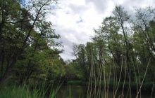 Spływ Piaśnicą - maj 2011