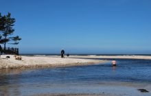 Spływ Piaśnicą - maj 2011