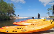 Spływ Piaśnicą - maj 2011