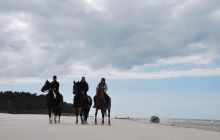 Spływ Piaśnicą - maj 2011