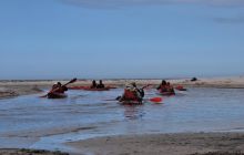 Spływ Piaśnicą - maj 2011