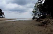 Spływ Piaśnicą - maj 2011