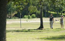 Alandy - czerwiec 2011