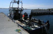 Alandy - czerwiec 2011