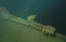 Alandy - czerwiec 2011