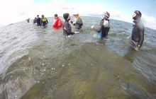 Ćwiczenia Ratownicze z Marszem Śledzia - czerwiec 2011