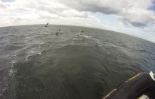 Ćwiczenia Ratownicze z Marszem Śledzia - czerwiec 2011