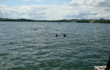 Kurs OWD - 19 czerwiec 2011