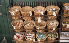 Bornholm - lipiec 2011