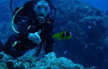 Egipt Hurghada - Kwiecień 2005