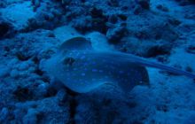 Egipt Hurghada - Kwiecień 2005