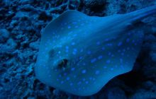 Egipt Hurghada - Kwiecień 2005