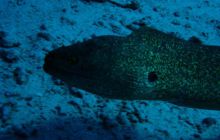 Egipt Hurghada - Kwiecień 2005