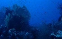 Egipt Hurghada - Kwiecień 2005