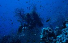 Egipt Hurghada - Kwiecień 2005