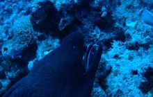 Egipt Hurghada - Kwiecień 2005